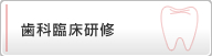 歯科臨床研修