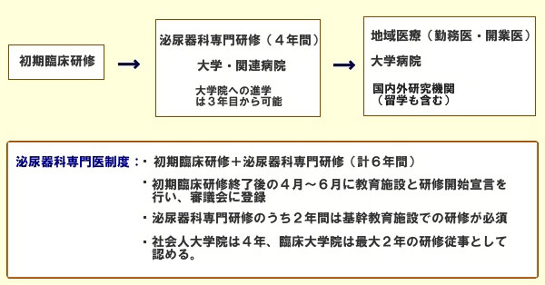 初期臨床研修後の概略（泌尿器科学）