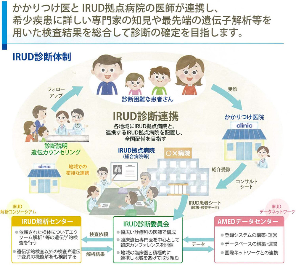 IRUD診断体制