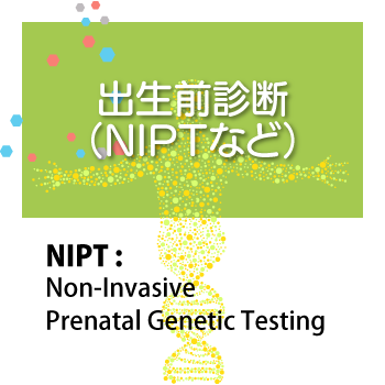 出生前診断（NIPTなど）