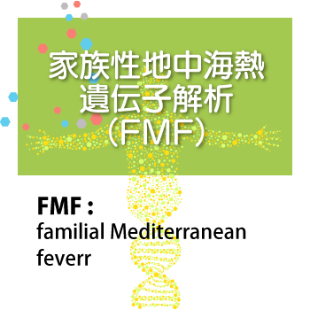 家族性地中海熱遺伝子解析（FMF）