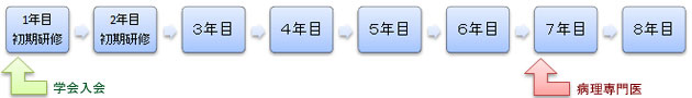 専門医までの流れ