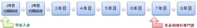 専門医までの流れ