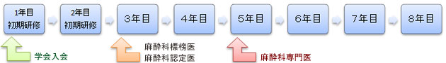 専門医までの流れ