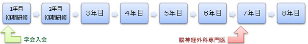 専門医までの流れ