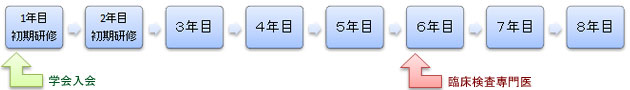 専門医までの流れ