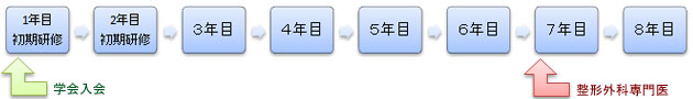 専門医までの流れ