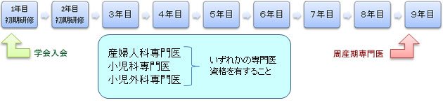 専門医までの流れ