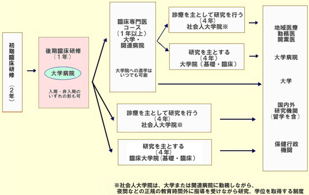 初期臨床研修後の概略