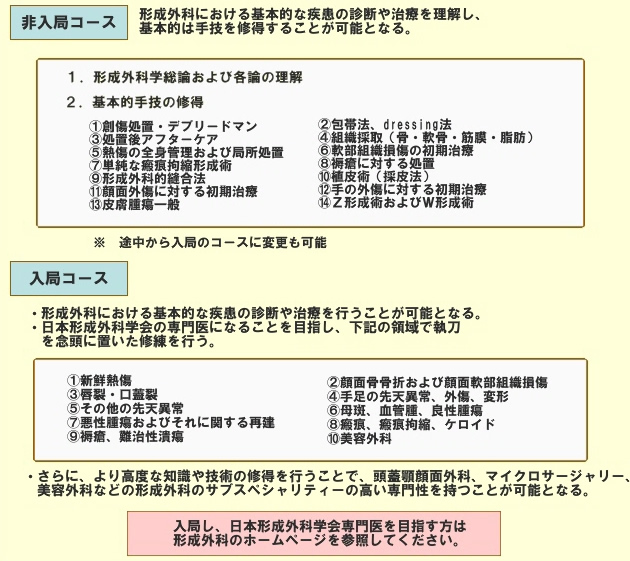 形成外科・後期臨床研修の概略（1）