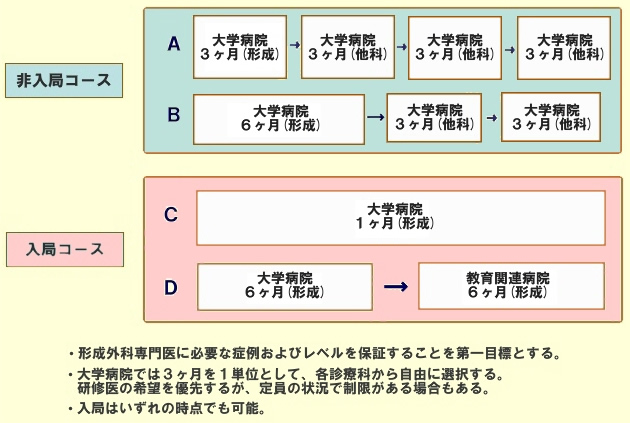 形成外科・後期臨床研修の概略（2）