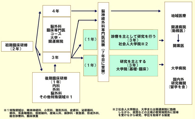 初期臨床研修後の概略