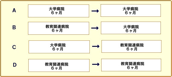 脳神経外科後期臨床研修(1年間)の概略