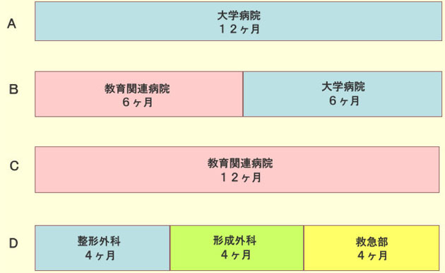 整形外科後期臨床研修(1年目)の概略