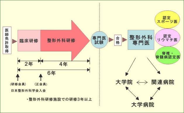 整形外科図