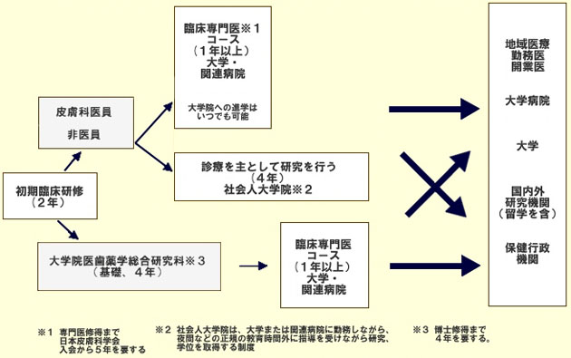 初期臨床研修後の概略