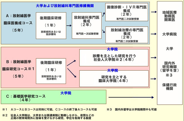 初期臨床研修後のコース