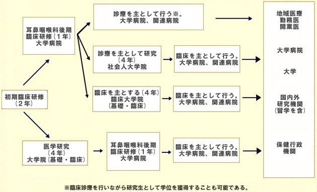 耳鼻咽喉科後期臨床研修後の概略