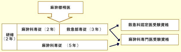 救命救急センターの流れ