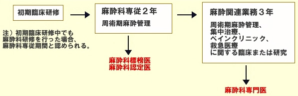 麻酔科標榜医、認定医、専門医取得に関して