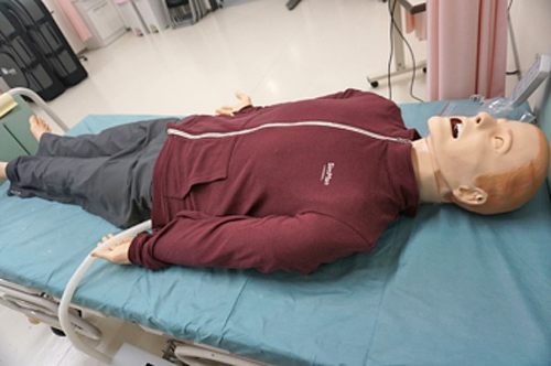 SimMan 3G