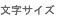 文字サイズ