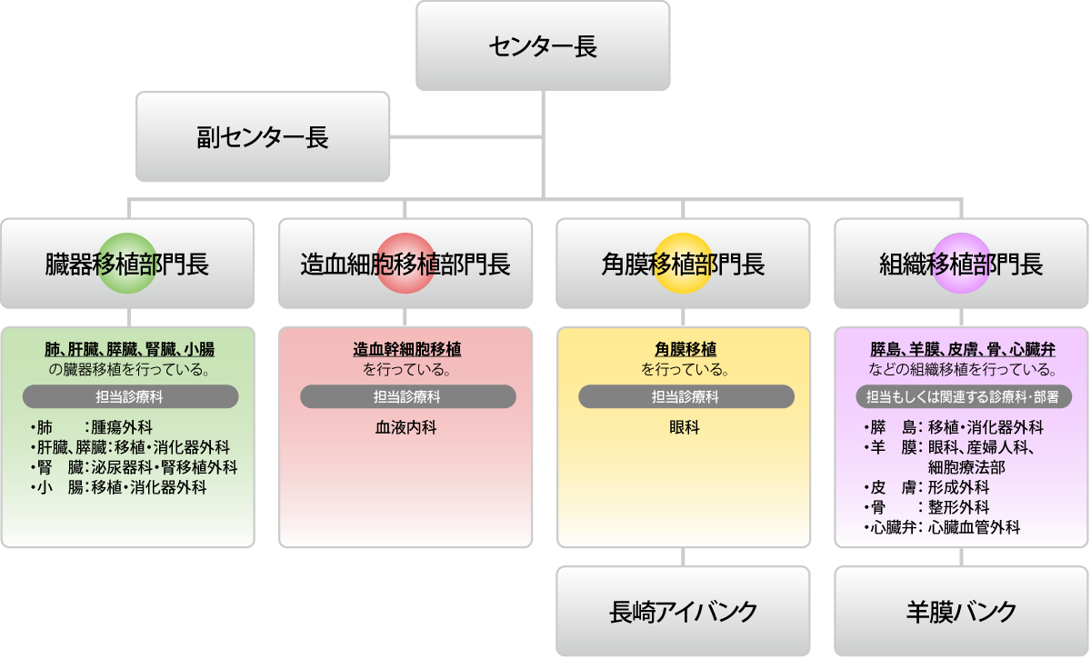 組織図