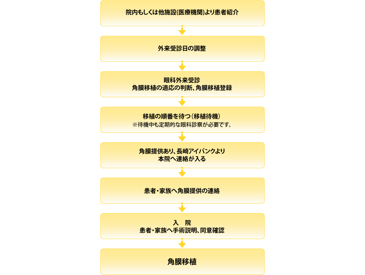 角膜移植部門：移植までの流れ