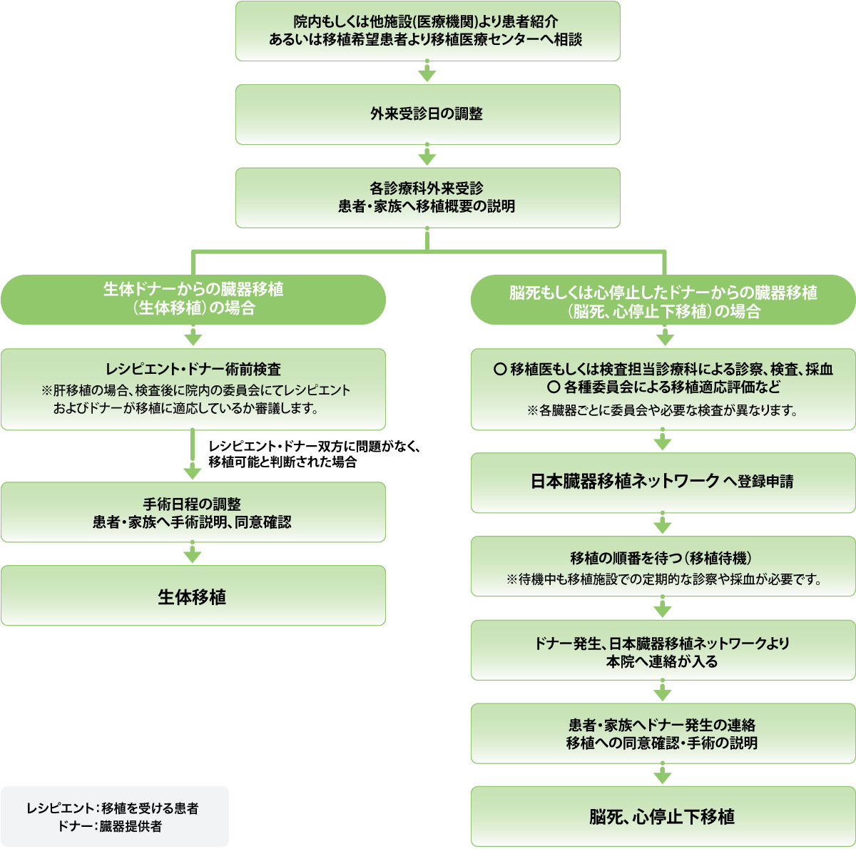 臓器移植部門：移植までの流れ